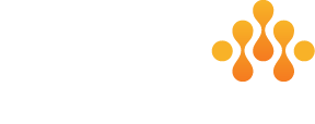 Wicked Technologies Logo